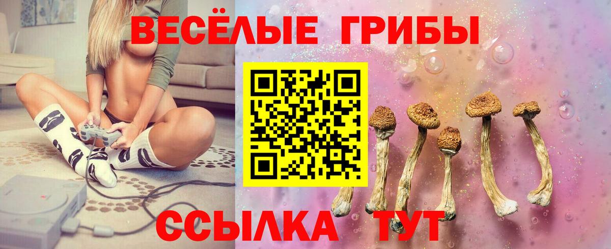 Шахты  Галлюциногенные грибы Magic Shrooms  Вход с VPN 