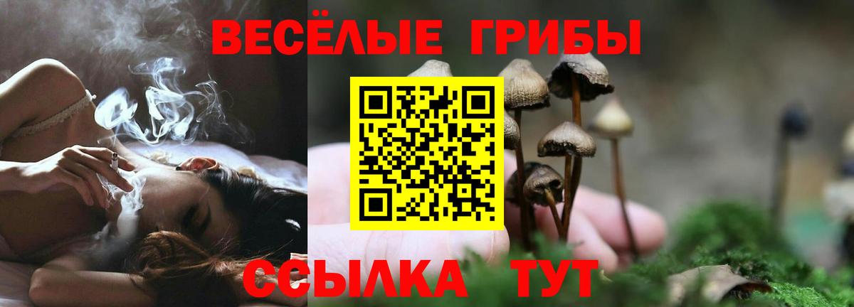 Галлюциногенные грибы ЛСД Шахты
